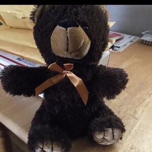 🧸 Lot of 2 Plush Teddy Bears